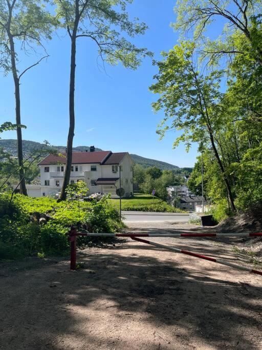 Fin Sentralt Hybel I Drammen Exterior foto