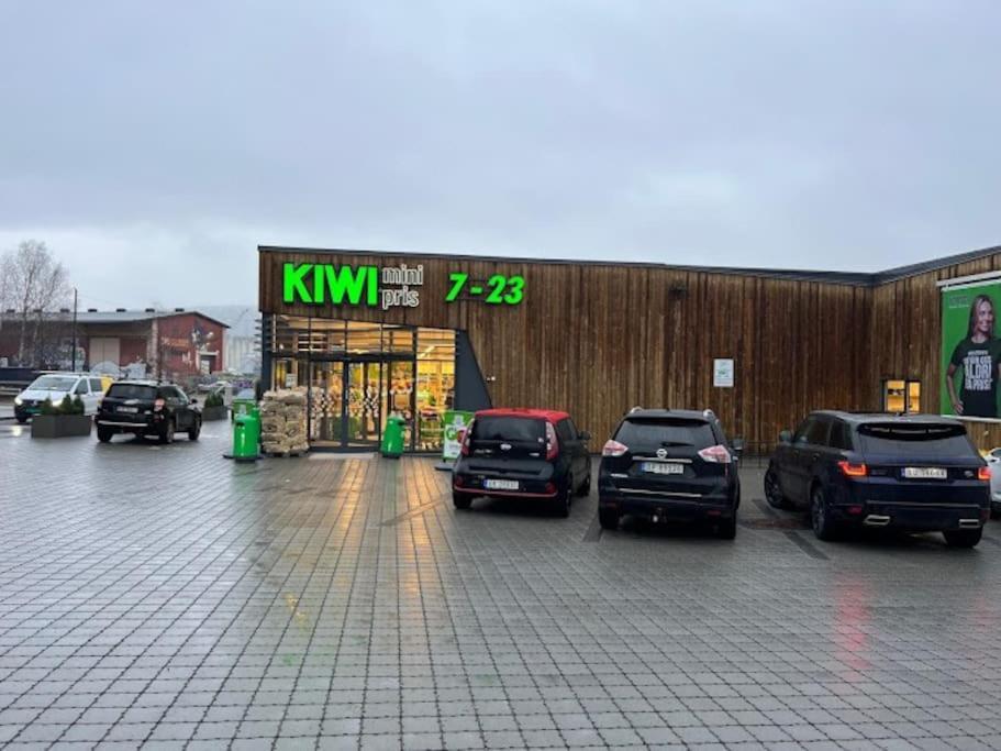 Fin Sentralt Hybel I Drammen Exterior foto