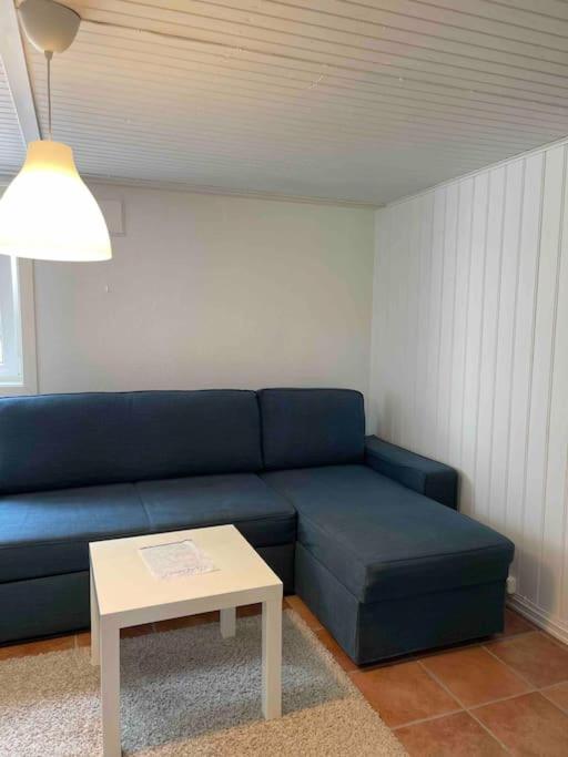 Fin Sentralt Hybel I Drammen Exterior foto